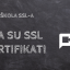 Mala škola SSL-a / Lekcija 1: Šta su SSL sertifikati [VIDEO]